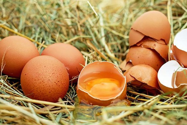 無菌蛋并非真無菌 食品健康先要走出消費誤區