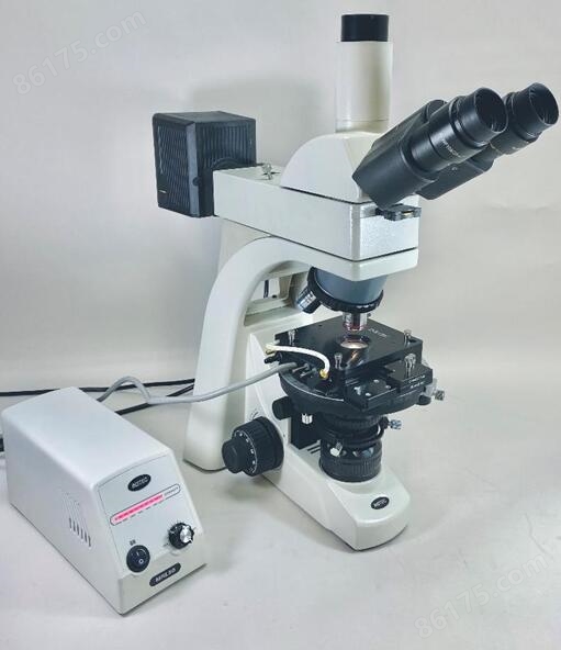 TPM310偏光显微镜