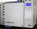 GC-7800气相色谱仪（热导毛细管型）
