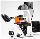 BDS500倒置荧光显微镜