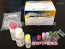大肠杆菌0157荧光PCR检测试剂盒
